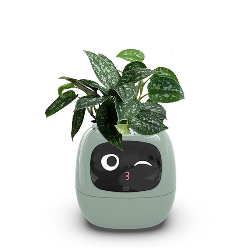Smart Small Flower Pot with AI Sensors & Digital Display