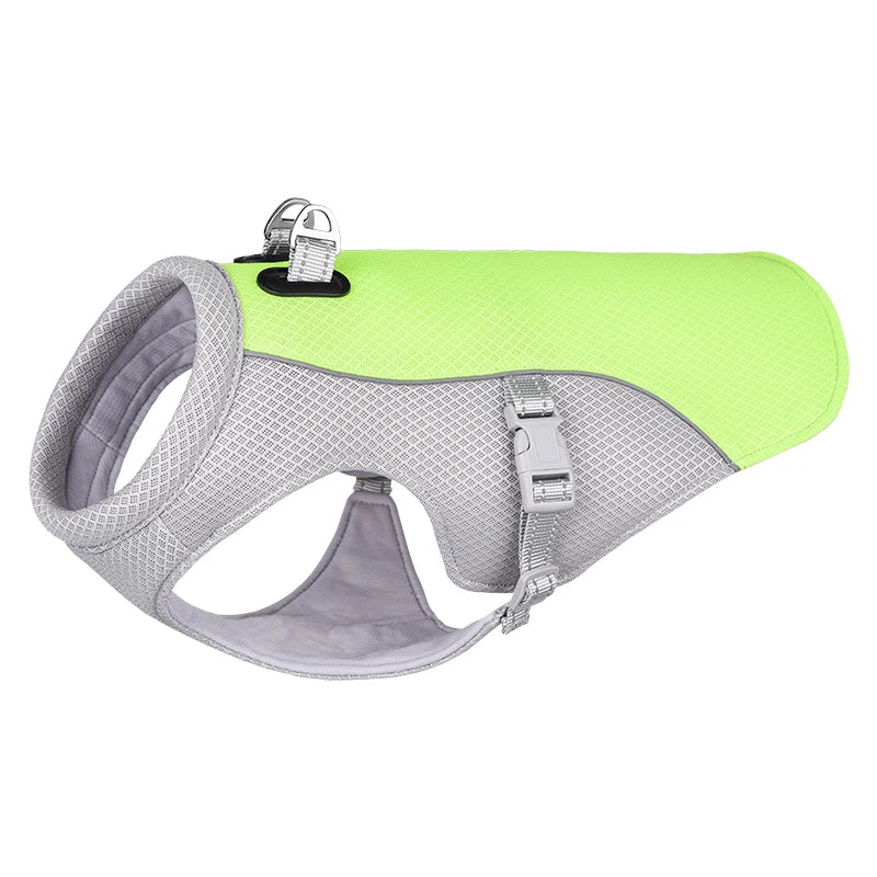 Cooling Dog Vest for Summer | Comfort & Safety