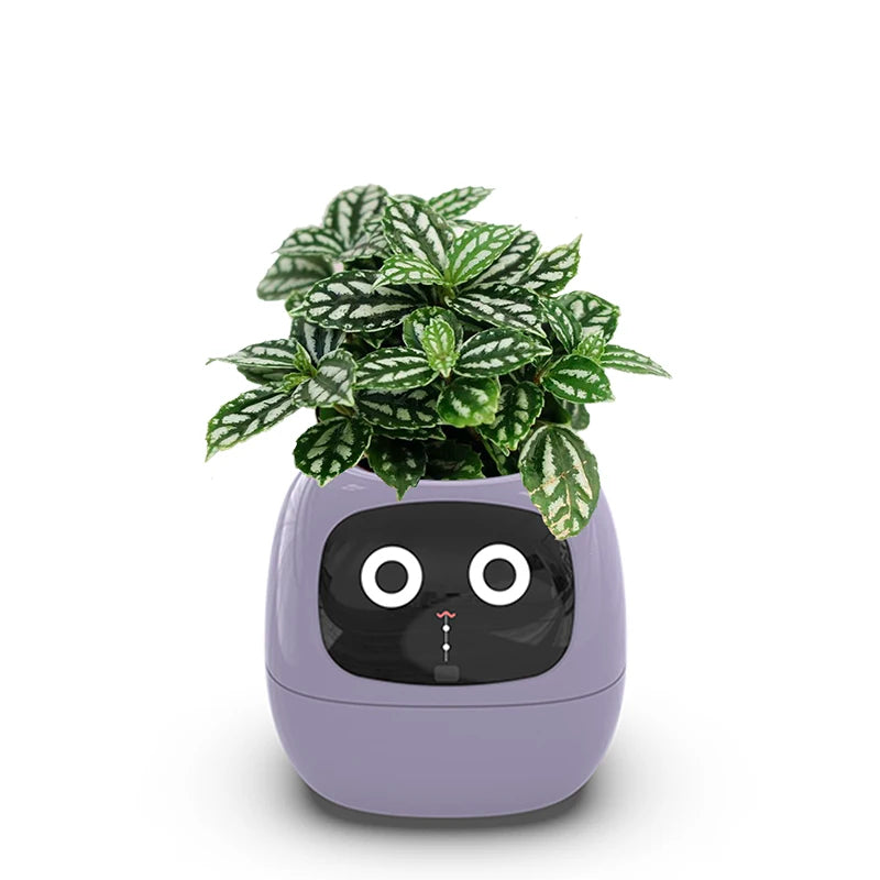 Smart Small Flower Pot with AI Sensors & Digital Display