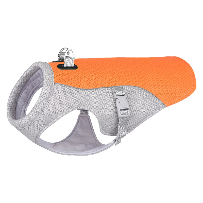 Cooling Dog Vest for Summer | Comfort & Safety