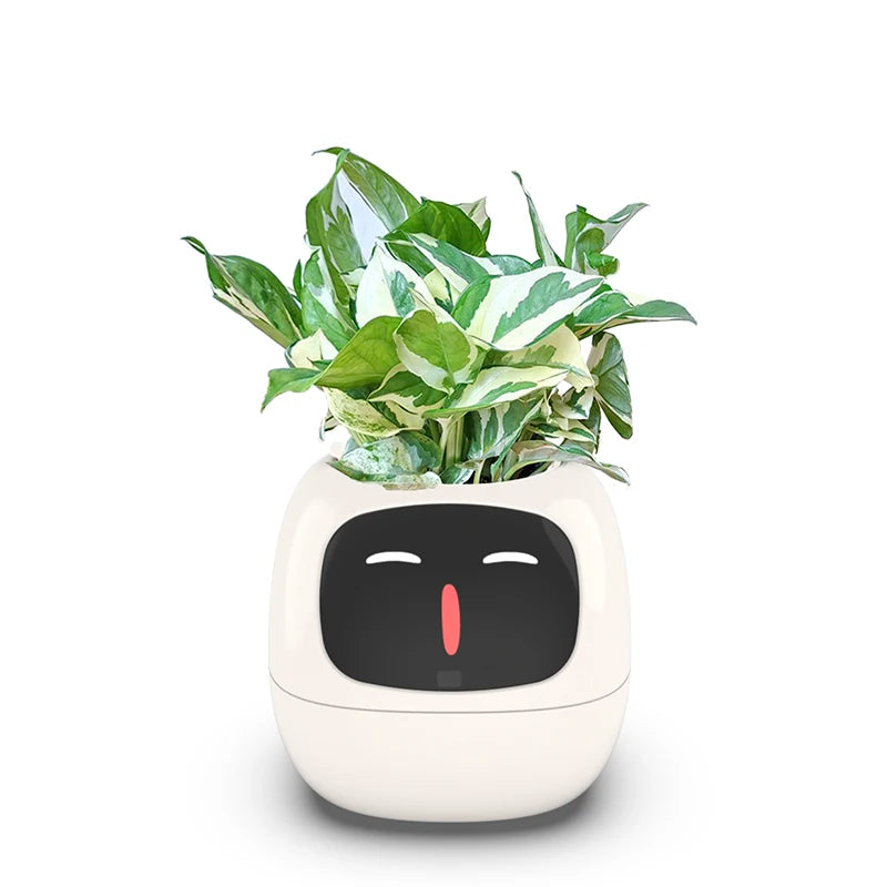 Smart Small Flower Pot with AI Sensors & Digital Display