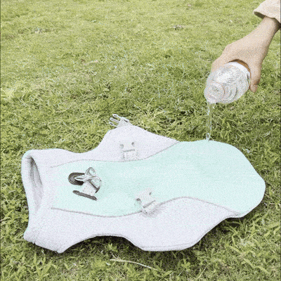 Cooling Dog Vest for Summer | Comfort & Safety