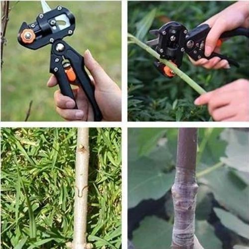 Professional Plant Grafting & Pruning Tool