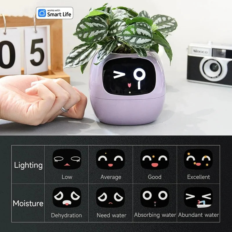 Smart Small Flower Pot with AI Sensors & Digital Display
