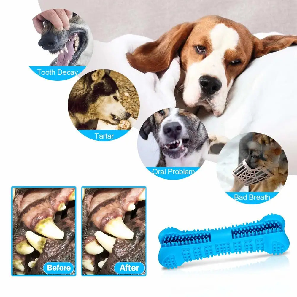 Soft Toothbrush – Chew Toy for Dogs