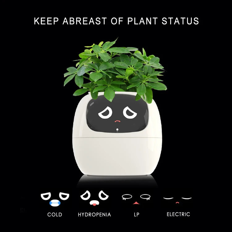 Smart Small Flower Pot with AI Sensors & Digital Display