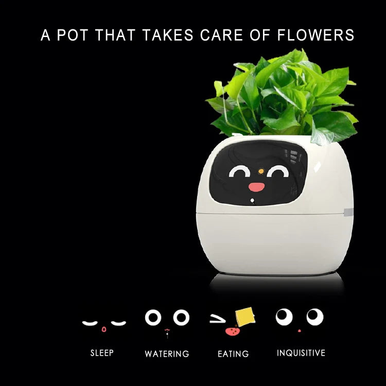 Smart Small Flower Pot with AI Sensors & Digital Display