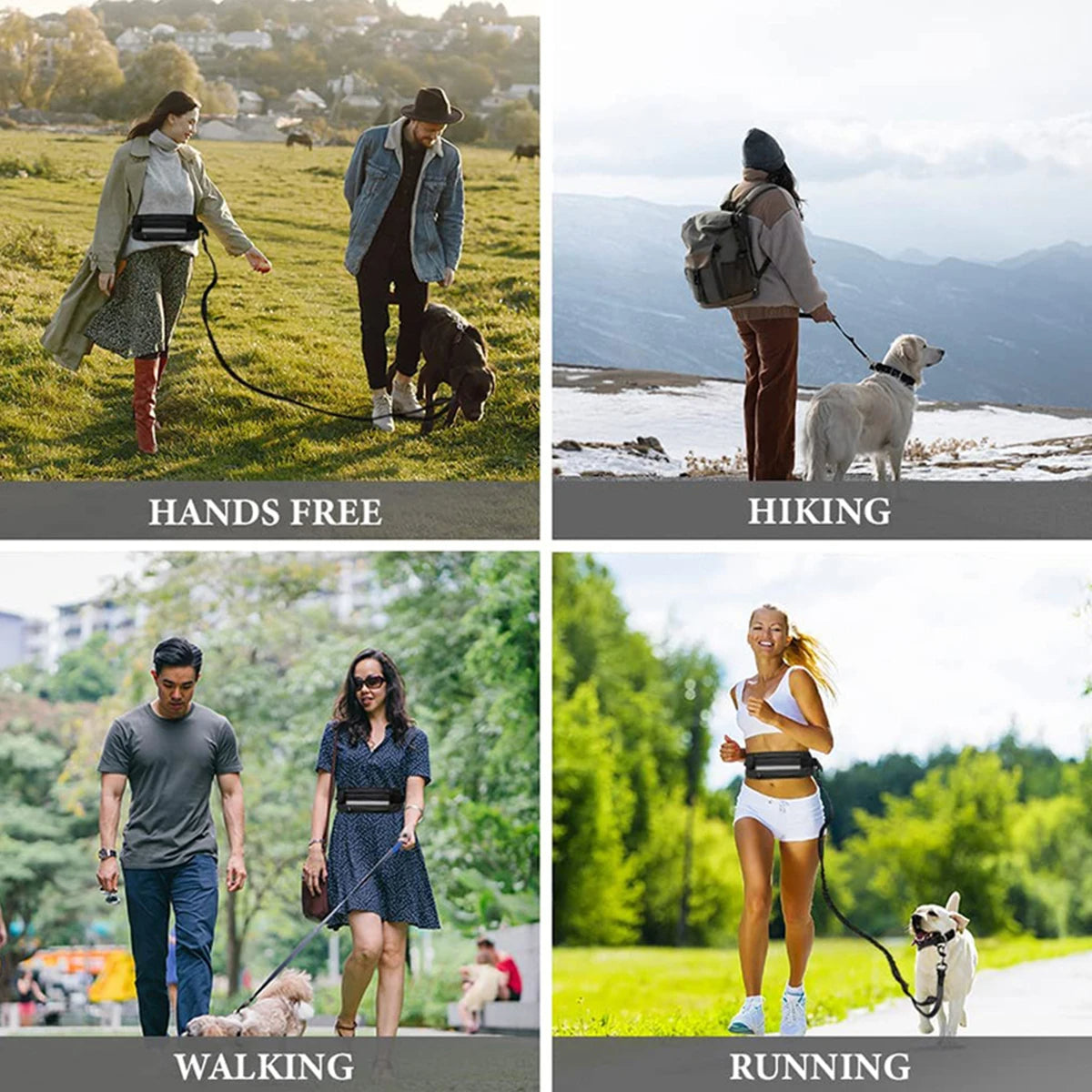 Hands-Free Dog Walking Leash