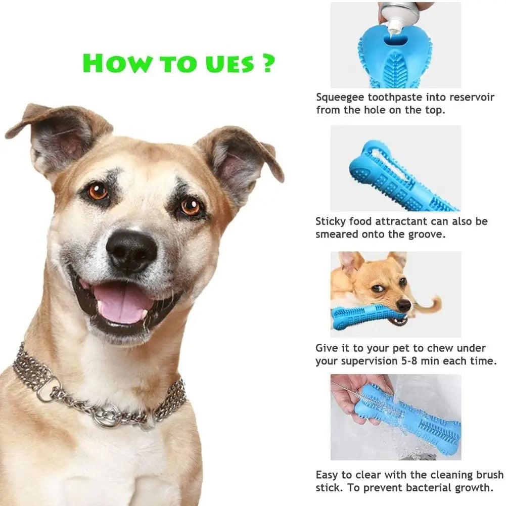 Soft Toothbrush – Chew Toy for Dogs