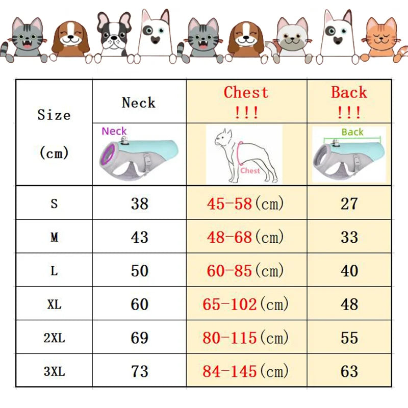 Cooling Dog Vest for Summer | Comfort & Safety