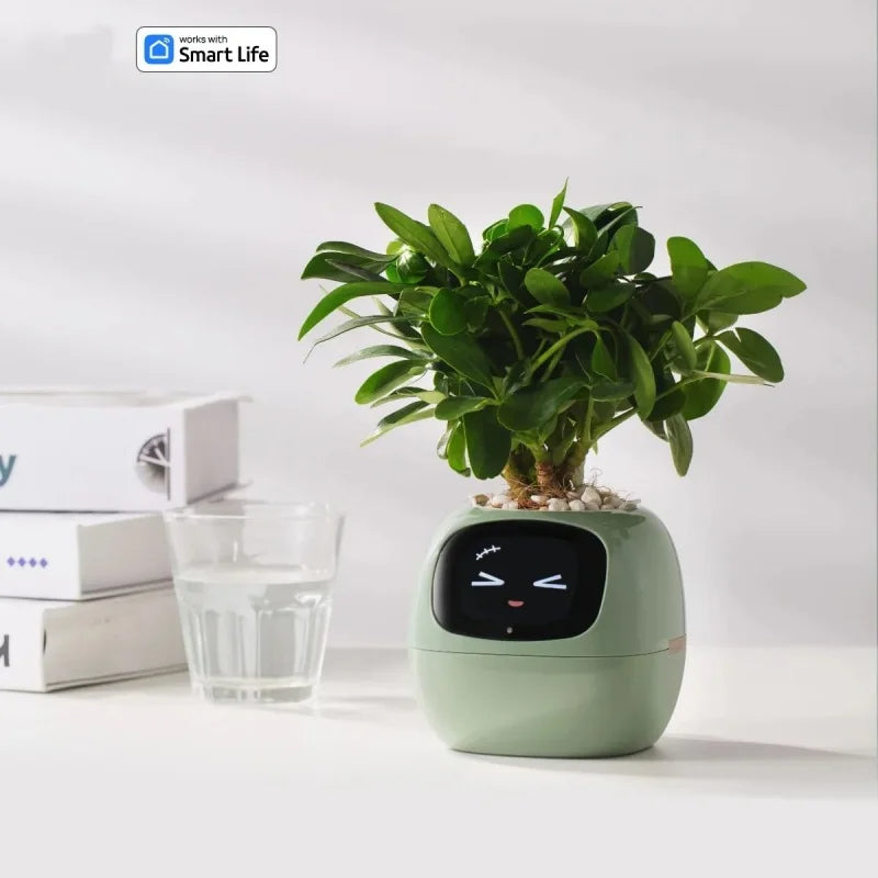 Smart Small Flower Pot with AI Sensors & Digital Display
