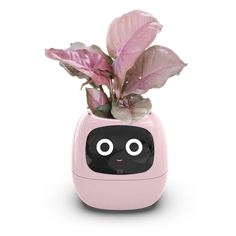Smart Small Flower Pot with AI Sensors & Digital Display