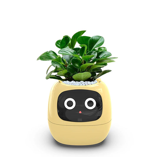 Smart Small Flower Pot with AI Sensors &amp; Digital Display