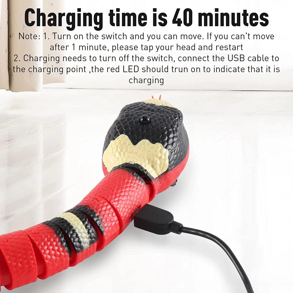 Διαδραστικό Παιχνίδι - Φίδι - Asknik