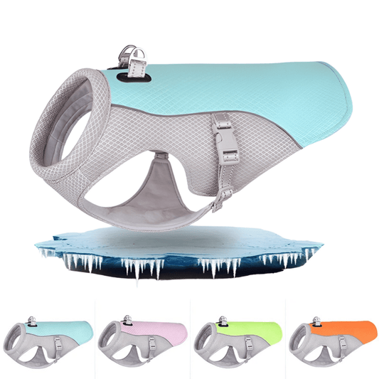 Δροσιστικό Γιλέκο Σκύλου για το Καλοκαίρι | Άνεση & Ασφάλεια - Asknik