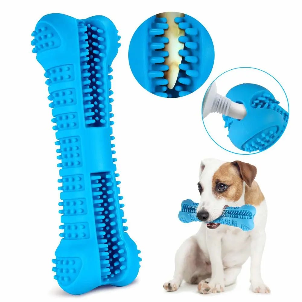 Blue bone-shaped chew toy with ridges and a dog holding the toy Main image